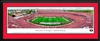 Georgia Bulldogs - Sanford Stadium Panoramic