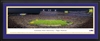 LSU Tigers - LSU Tiger Stadium Panoramic