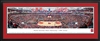 North Carolina State Wolfpack - PNC Arena Panoramic