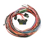 AEM EMS-4 96" Wiring Harness with Fuse & Relay Panel