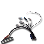 AEM Infinity 5-series EMS Plug-N-Play Wiring Harness for 2002-2005 Honda Civic Si, 2002-2006 Acura RSX