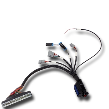 AEM Infinity 5-series EMS Plug-N-Play Wiring Harness for 2002-2005 Honda Civic Si, 2002-2006 Acura RSX