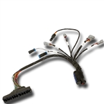 AEM Infinity 5-series EMS Plug-N-Play Wiring Harness for 1999-2001 Honda/Acura B/D/F Series OBDII-B Applications