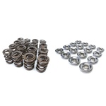 Skunk2 Racing Alpha Series Valve Spring and Titanium Retainer Kit 1992-2001 Honda H22A, F20B 2.0L/2.2L DOHC VTEC