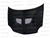 Seibon Carbon Fiber Hood 2000-2002 Dodge Neon [EVO-style]