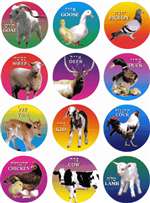 Kosher Anminal Stickers - 6/sheet - 10 pack