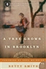 A Tree Grows in Brooklyn (PB)