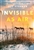 Invisible as Air by Zoe Fishman