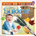 What Do You See on Sukkos?