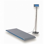 Salter Brecknell PS-1000 Multi Purpose Scale