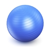 Large Blue Yoga Ball