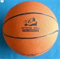 Basketball 8.5" Slam n' Jam/Hoop Fever/NBA Hoops