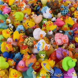 2" RUBBER DUCKY ASSORTED