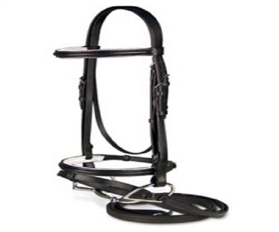 English Padded Bridle