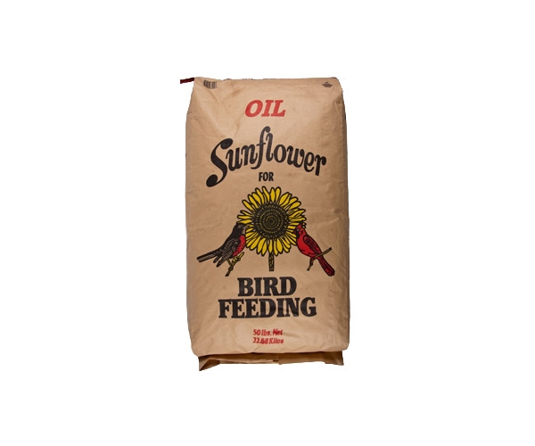 Black Oil Sunflower Seed