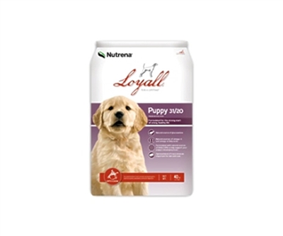 Loyall Puppy Food