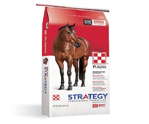 Purina Strategy