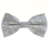 Silver and Grey Paisley Designed Pre Tied with  Matching Pocket Square BWTH-965