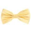 Honey-Gold Pin Dot Pre-Tied Bow Tie Set with Matching Pocket Square PDPTBT-12