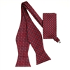 Navy & Red Designed Self- Tie with Matching Pocket Square SBWTH-962