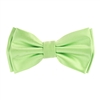 Pastel Green  Satin Finish Silk Pre-Tied Bow Tie with Matching Pocket Square SPTBT-220