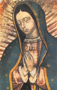 Consagracion a  Nuestro Senor Jesucristo a traves de  la Virgen Maria  (100 cards)