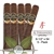 San Lotano Oval - Toro - 5 Pack