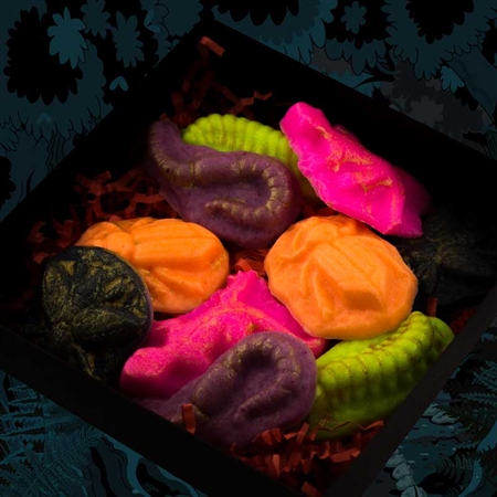 Creepy Crawly Bath Cocoa Bath Melt Gift set of 10