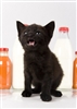 MANS Kitten Juice E-Liquid