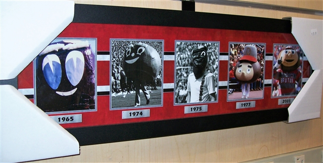 Brutus Buckeye Evolution Small Collage