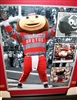 Brutus Buckeye Evolution 16 x 20 Framed