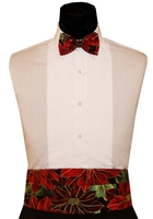 Good Tidings Cummerbund & Bow Set