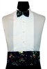 Rainbow Gold Constellations Cummerbund & Bow Set