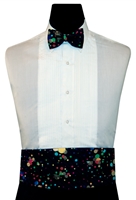 Rainbow Gold Constellations Cummerbund & Bow Set