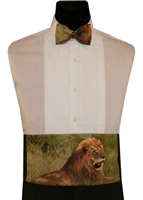 "Nature Study" Lion Cummerbund & Bow