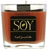 Soy Jar Candles - Cinnamon