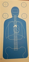 TQ-15 Anatomy Cardboard Target - Bundle of 100