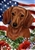 Red Dachshund In A Field Of Flowers With An American Flag Behind The Dog Garden Flag Art Work Is By Tamara Burnett