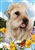 Soft Coated Wheaten Terrier In A Field Of Summer Flowers Garden Flag Art Work Is By Tamara Burnett