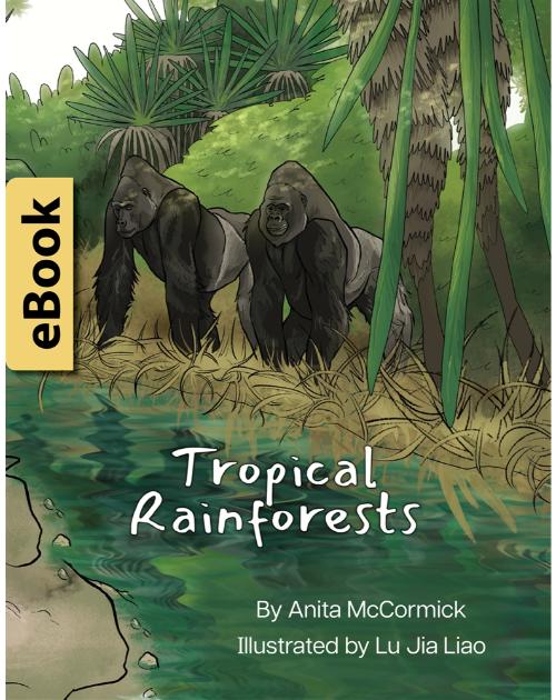 Bilingual children's eBook Tropical Rainforests