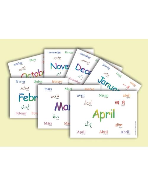 Months of the Year Cards-Multilingual Edition