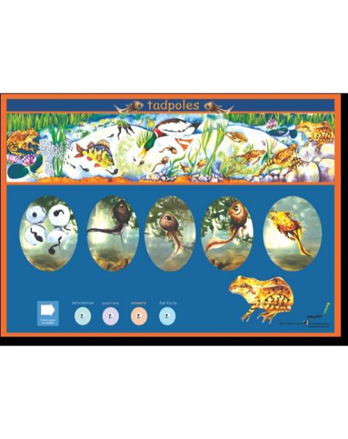 Tadpoles Poster-Multilingual Edition, Multicultural Poster