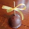 Sea Salted Caramel-Chocolate Apple