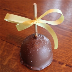 Sea Salted Caramel-Chocolate Apple