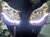 SPORTBIKE LITES HONDA CBR LED EYE BROW