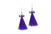 College Fashion Louisiana State University Logo Charm Tassel Post Dangle Eambi Earrings