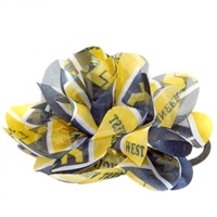 Hair Tie Accessory West Virginia University