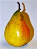 PEAR PERDUE PEAR TREEâ€” Pyrus communis  Zone 4  Chill Hrs 200