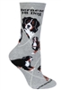 Bernese Mountain Dog Novelty Socks SaltyPaws.com