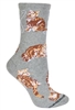 Orange Tabby Cat  Novelty Socks SaltyPaws.com